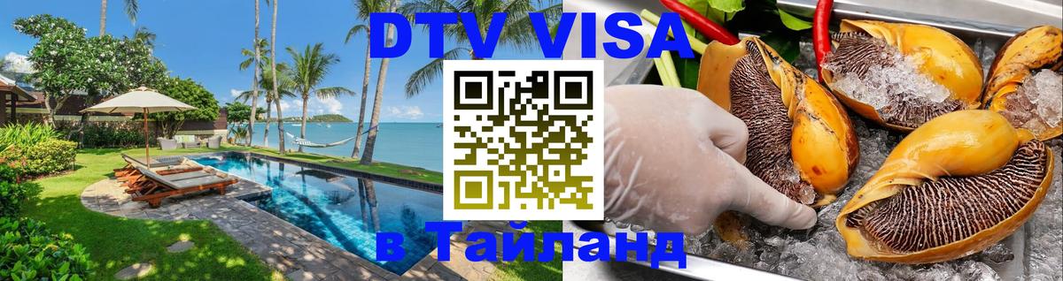 Оформление DTV визы под ключ: стоимость и тарифы, только загранпаспорт - Казань  09.01.2026 